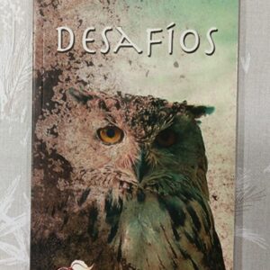 DESAFIOS