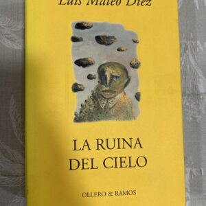 LA RUINA DEL CIELO