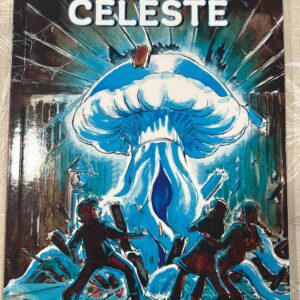 LA SETA CELESTE