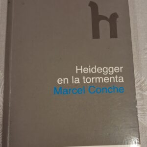HEIDEGGER EN LA TORMENTA