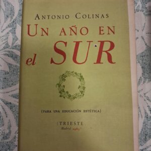 UN AÑO EN EL SUR